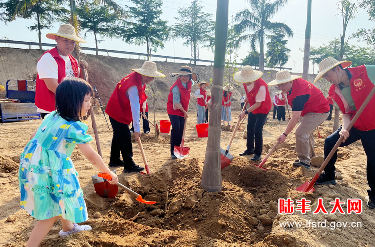 机关到西南植树4